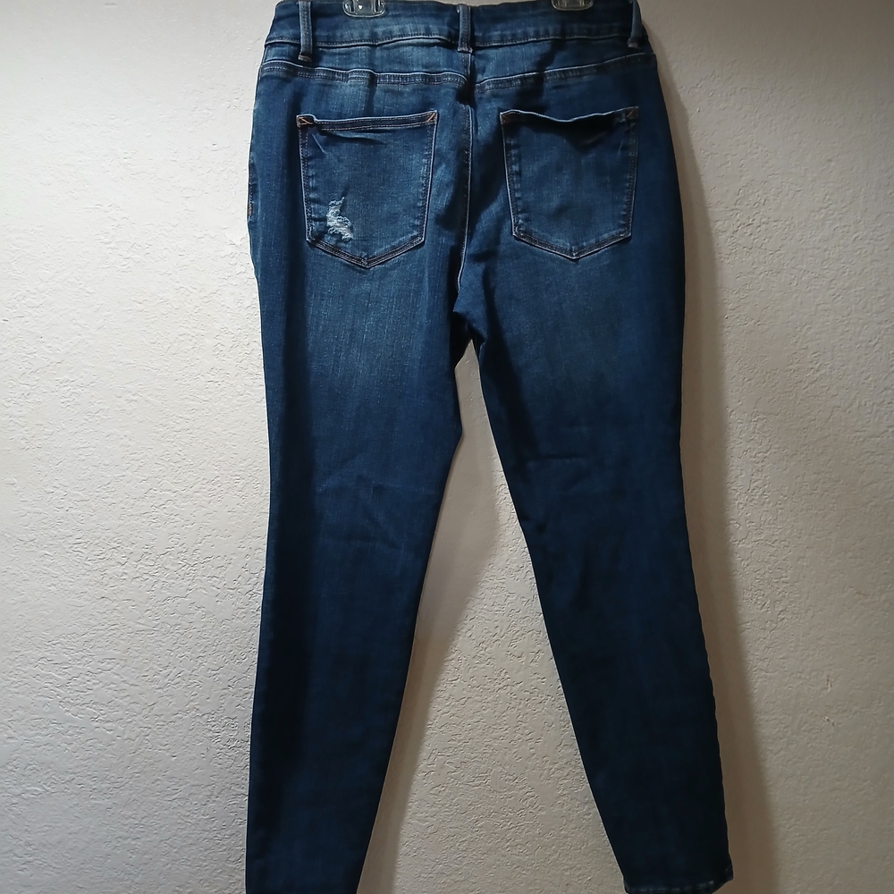 Zara Blue Skinny Jeans with Red Floral Embroidery - Picture 8 of 8